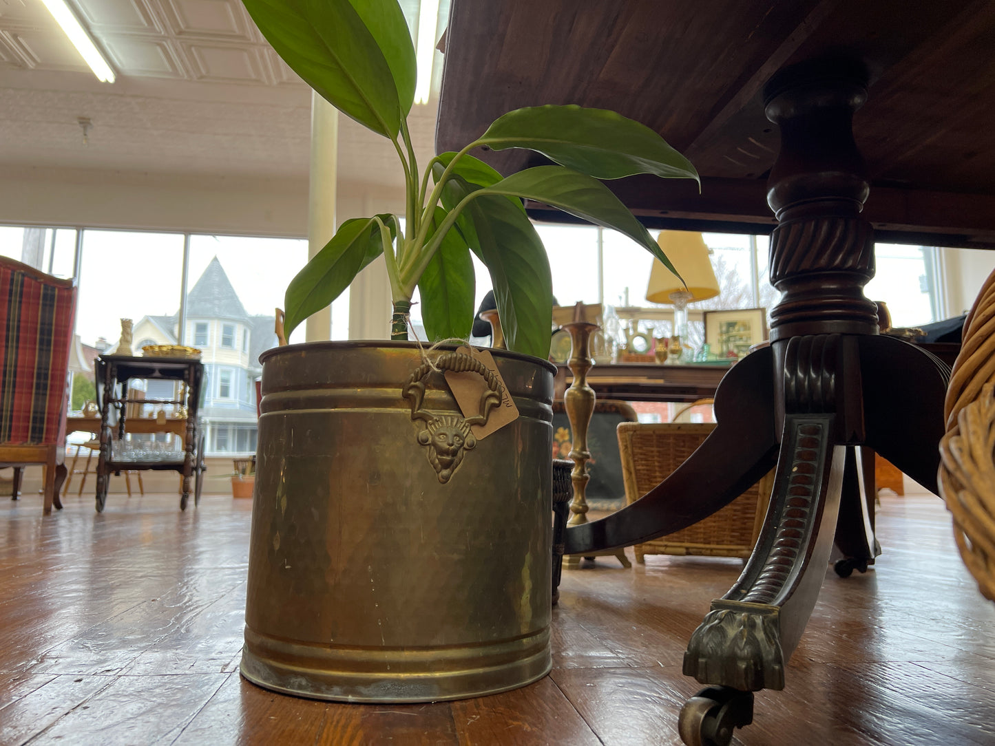 Hammered Brass Mask-Handle Planter Bucket – 10″ Round Vintage Cachepot