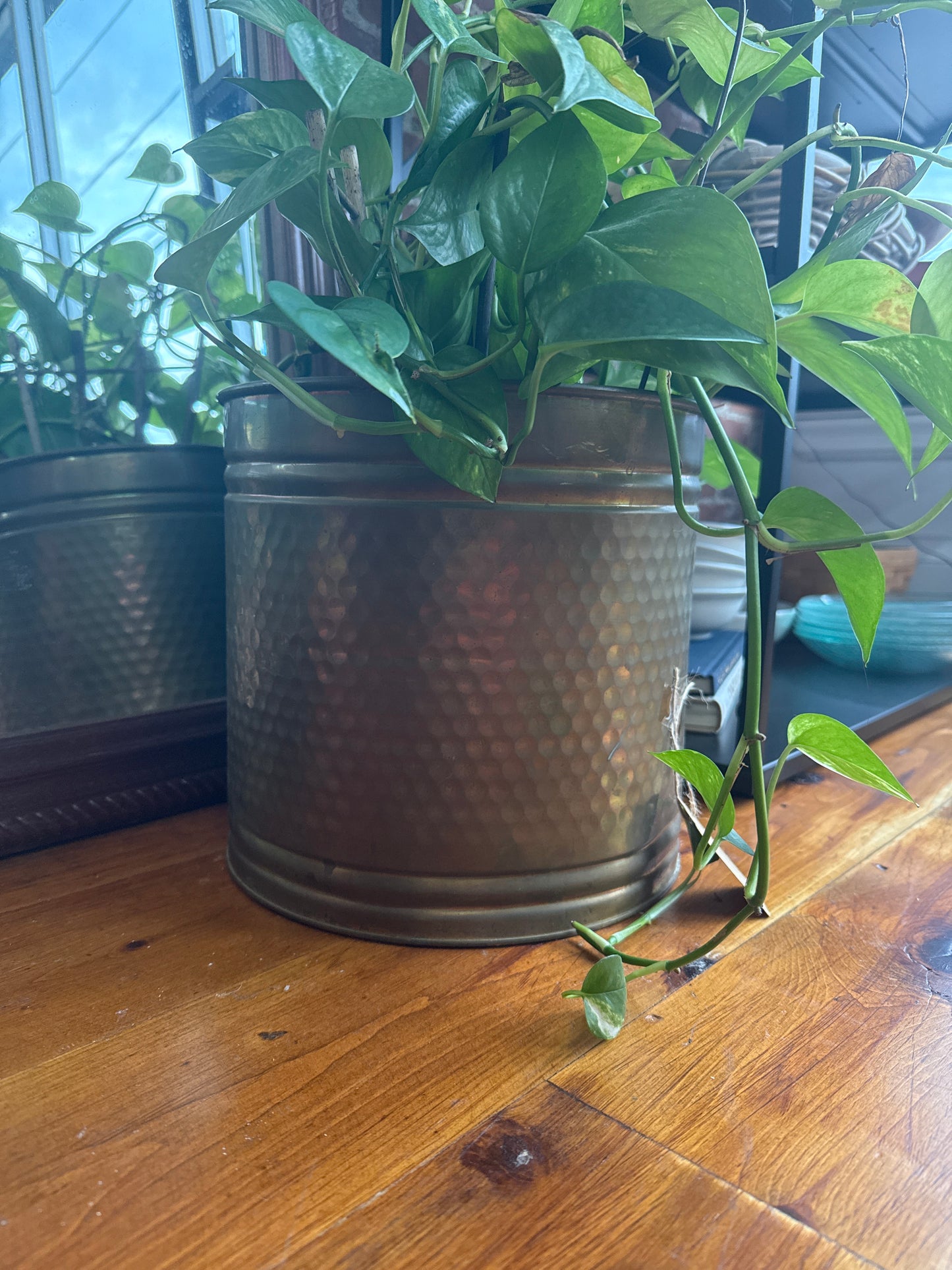 Vintage Hammered Brass Planter – Crown Jewel Round Cachepot, 10.5″ × 10″