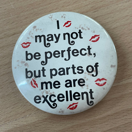 Vintage “I May Not Be Perfect But Parts of Me Are Excellent” Pinback Button – 1970s Humor Collectible 2.25”