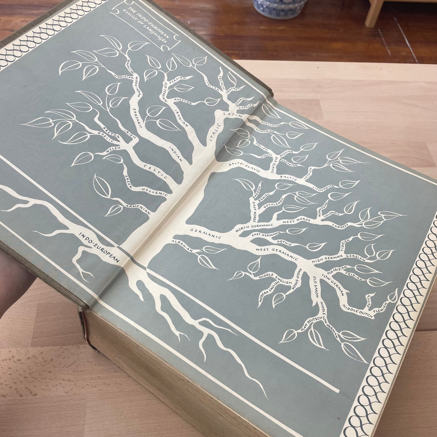 Webster’s New Twentieth Century Unabridged Dictionary, 2nd Edition | Large Vintage Reference Book for Decor or Display