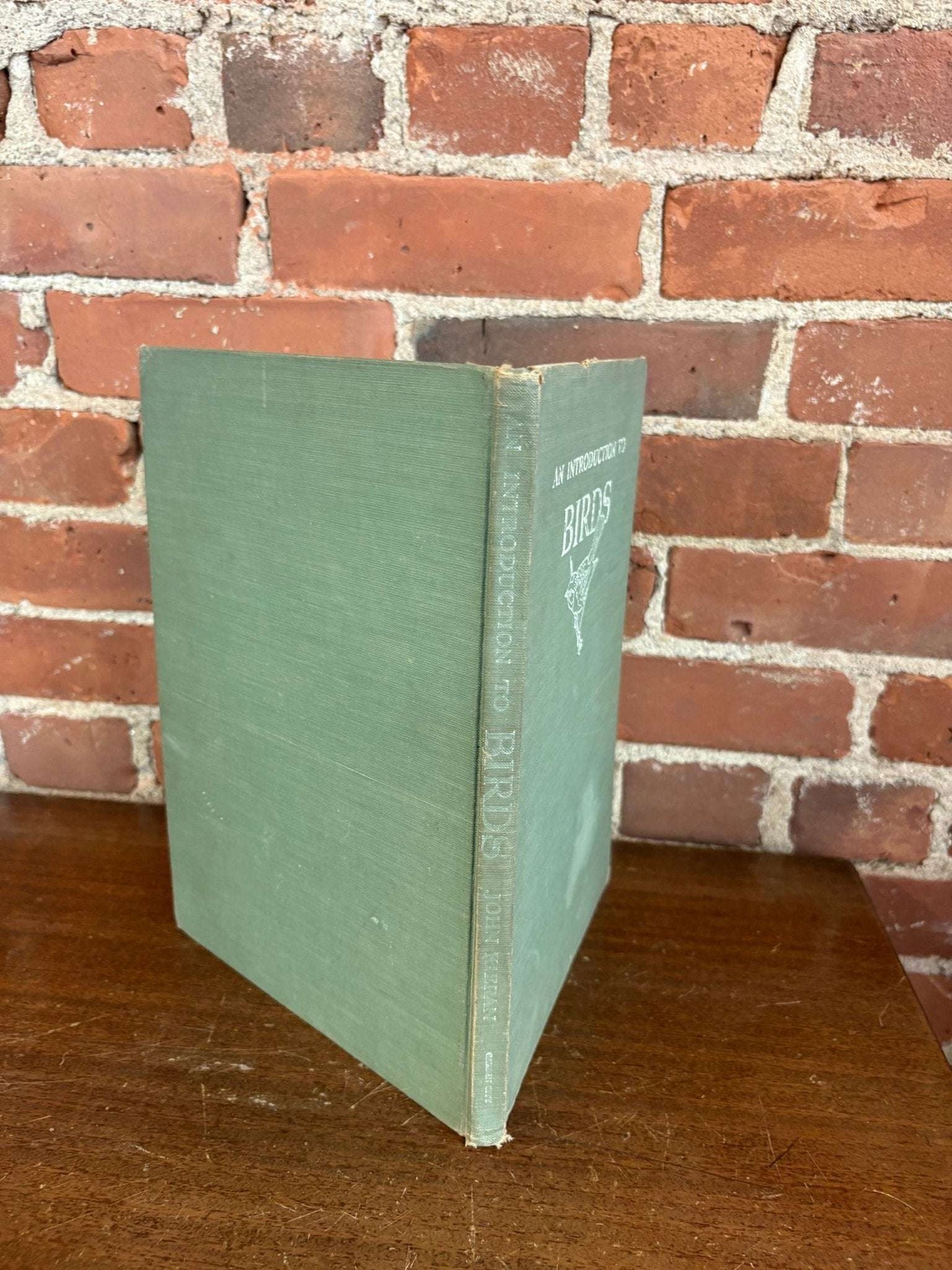 An Introduction to Birds – Vintage Clothbound Bird Book - Loom Vintage