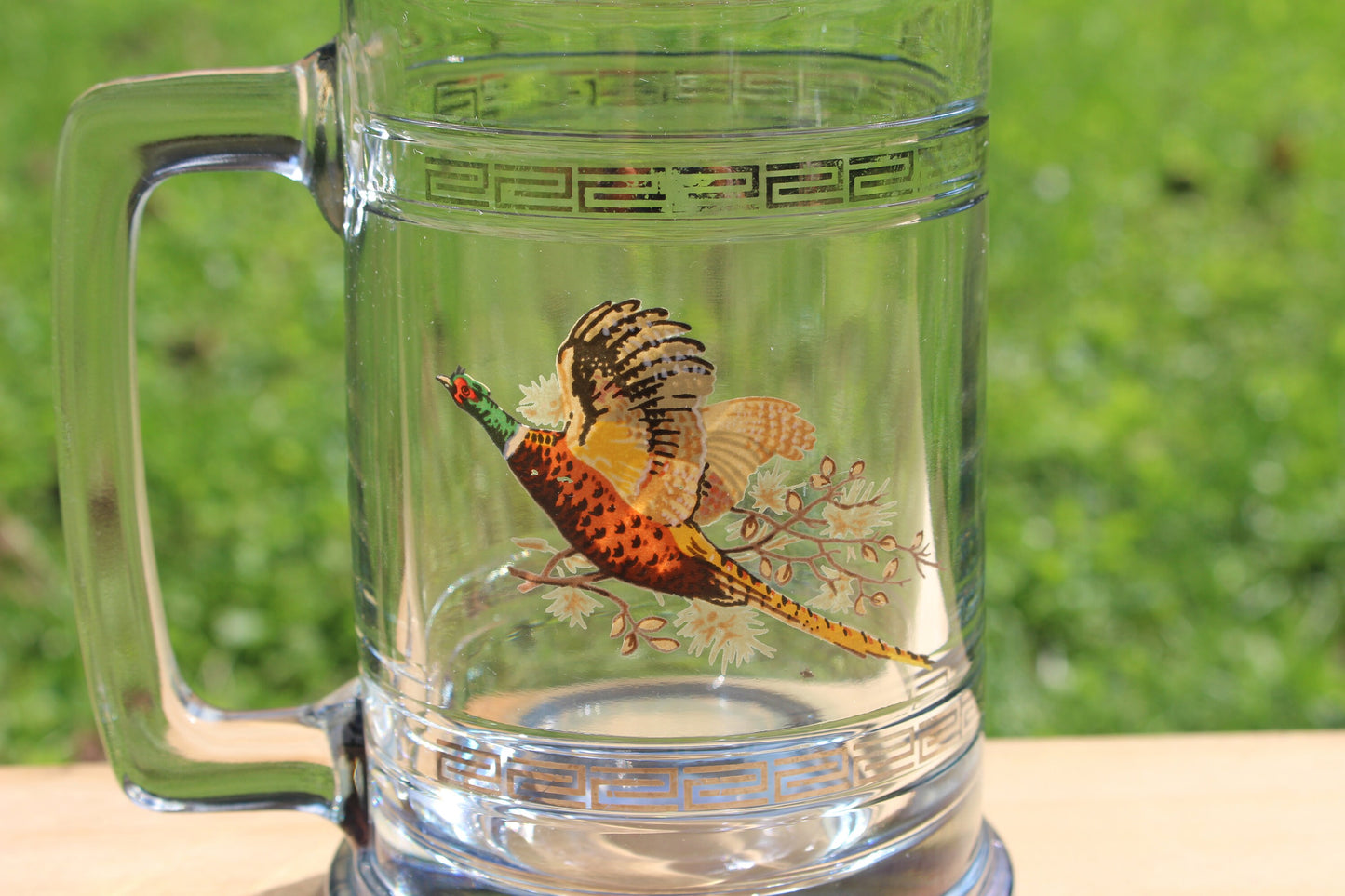 Princess House Glass Pheasant Geese Beer Steins / Retro Glass with Silver Band / Vintage Bar Ware / Beer Cup NIB Hunter Gift