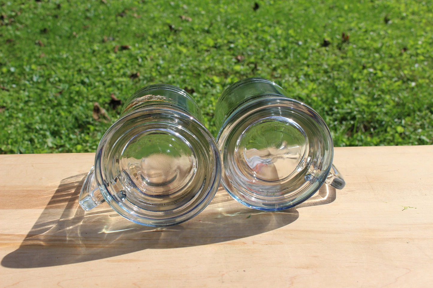 Princess House Glass Pheasant Geese Beer Steins / Retro Glass with Silver Band / Vintage Bar Ware / Beer Cup NIB Hunter Gift