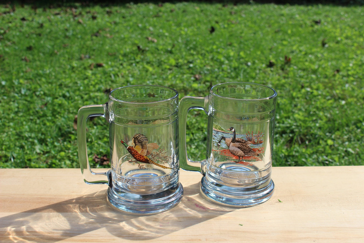 Princess House Glass Pheasant Geese Beer Steins / Retro Glass with Silver Band / Vintage Bar Ware / Beer Cup NIB Hunter Gift
