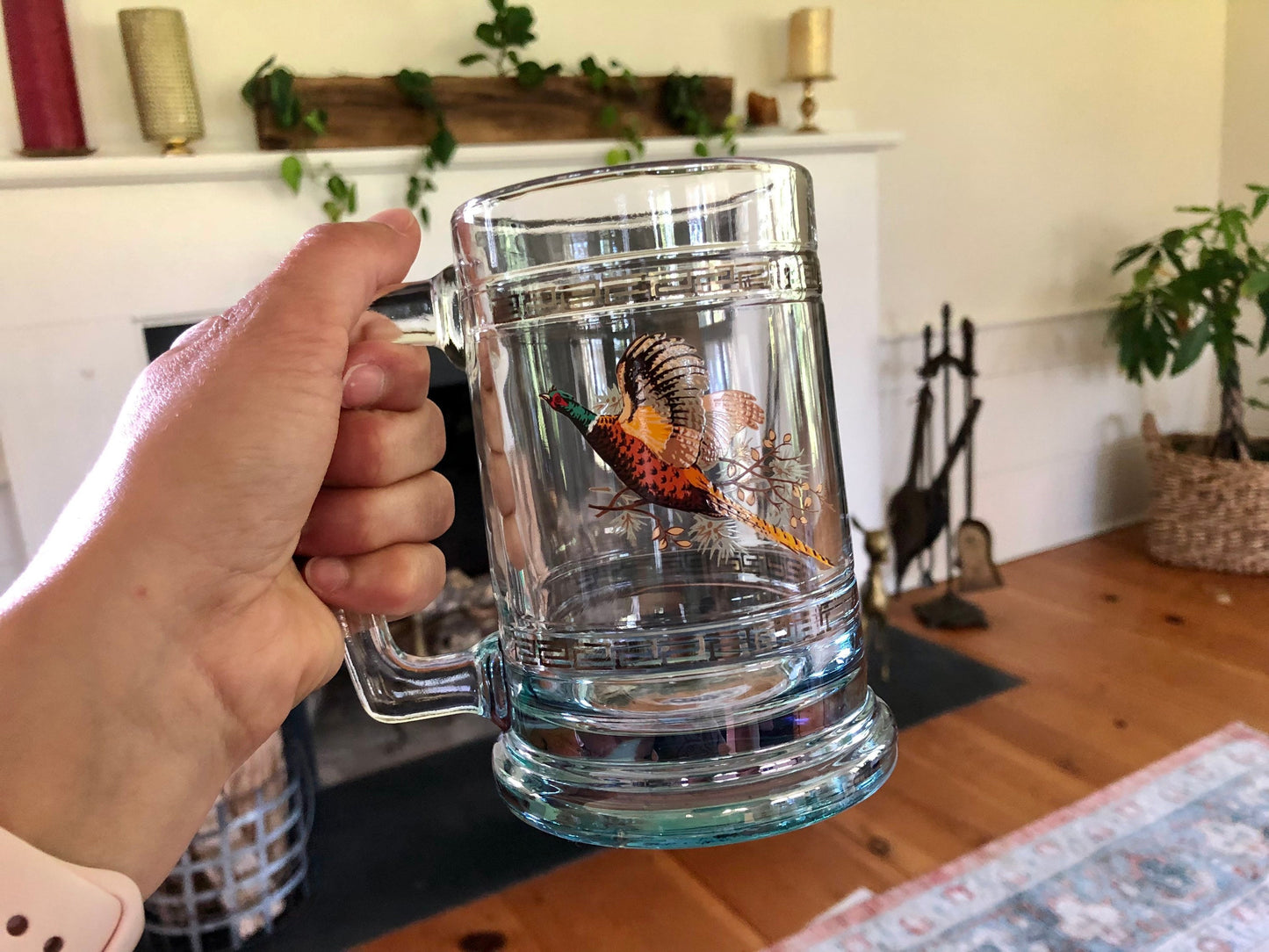 Princess House Glass Pheasant Geese Beer Steins / Retro Glass with Silver Band / Vintage Bar Ware / Beer Cup NIB Hunter Gift