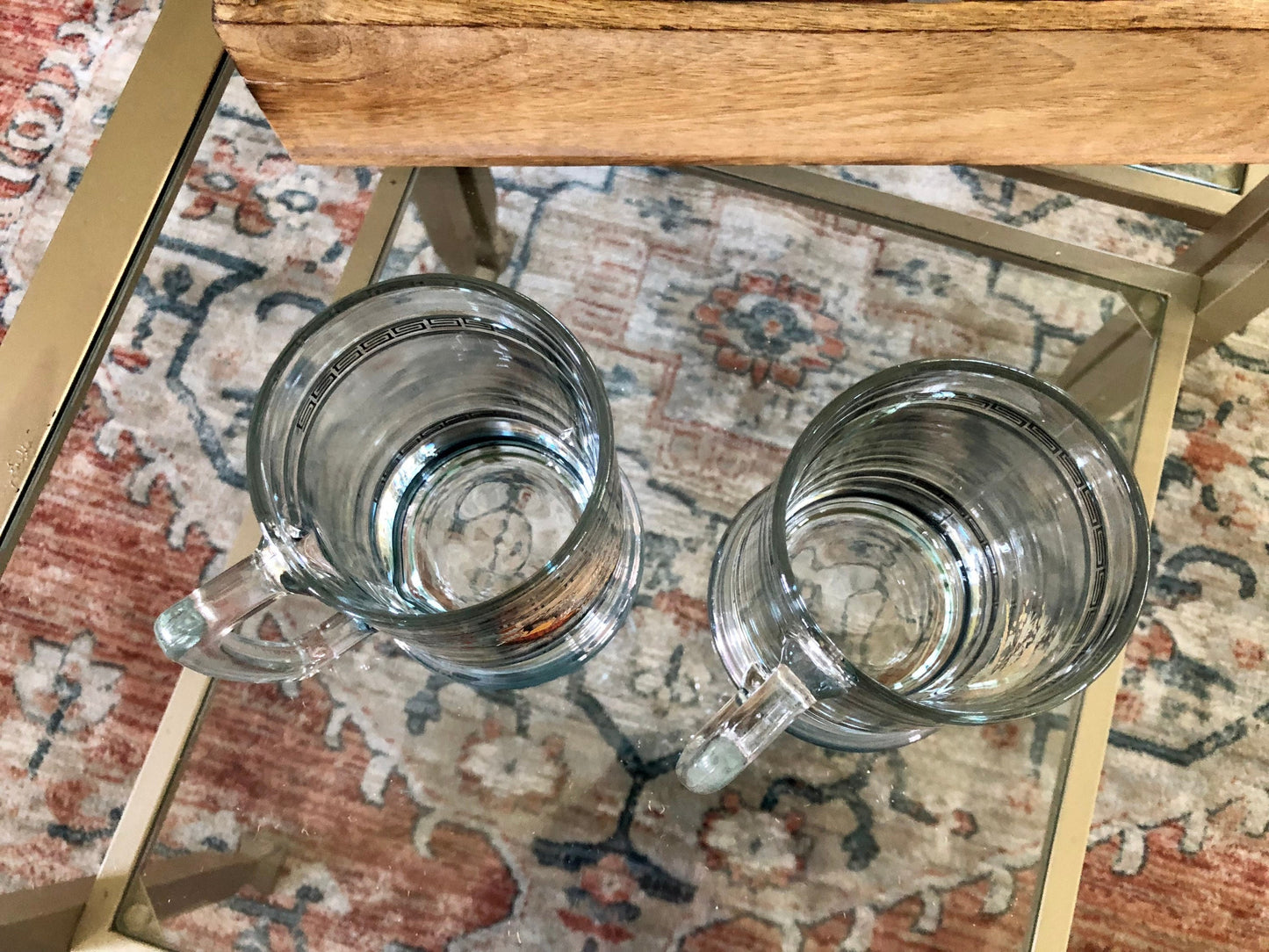 Princess House Glass Pheasant Geese Beer Steins / Retro Glass with Silver Band / Vintage Bar Ware / Beer Cup NIB Hunter Gift