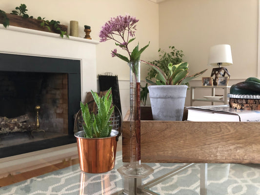 Kimax 25 ml Glass Graduated Cylinder #20024-D - Chemistry Beaker Equipment, Bud Vase