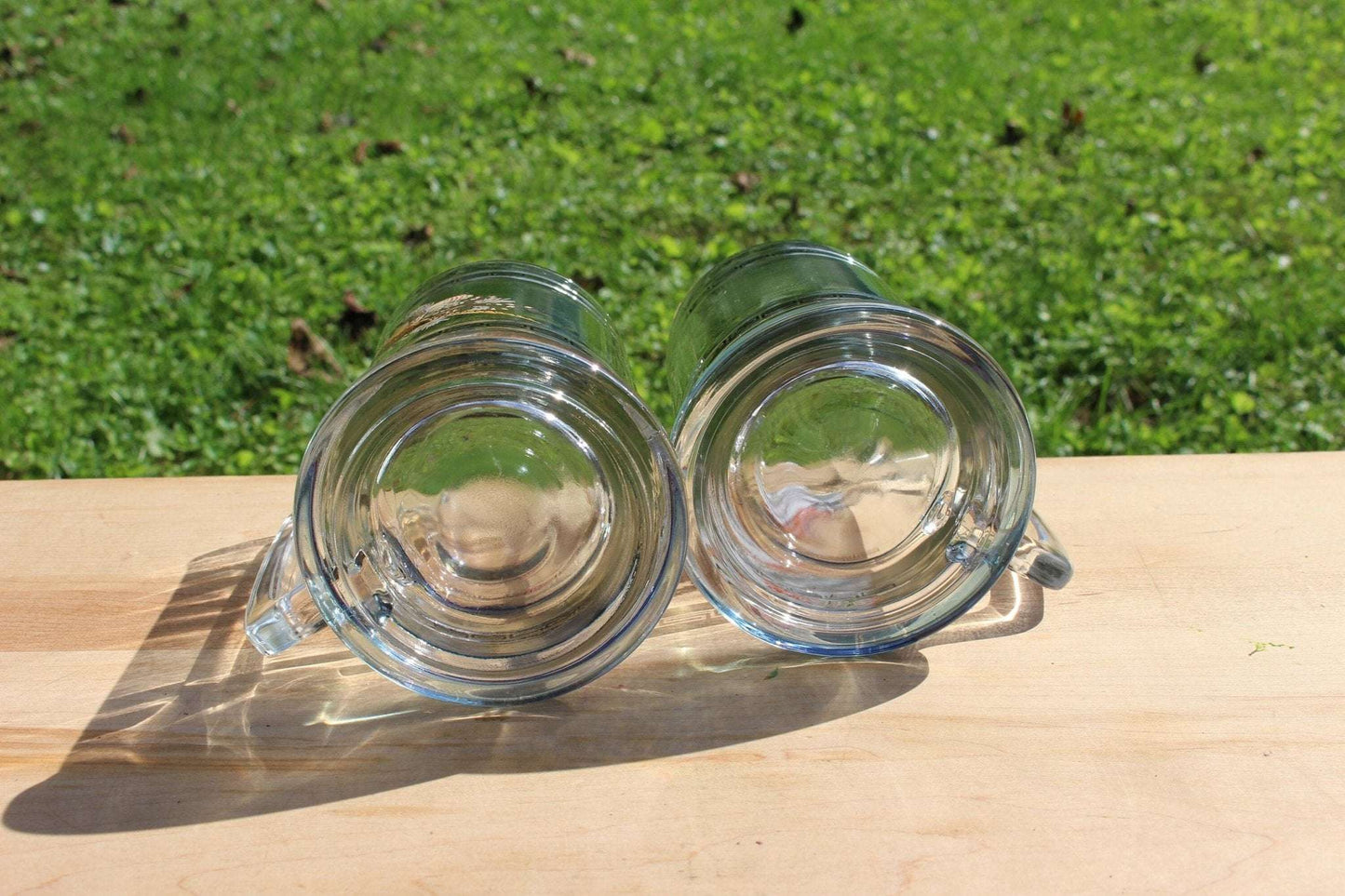 Princess House Glass Pheasant Geese Beer Steins / Retro Glass with Silver Band / Vintage Bar Ware / Beer Cup NIB Hunter Gift - Loom Vintage