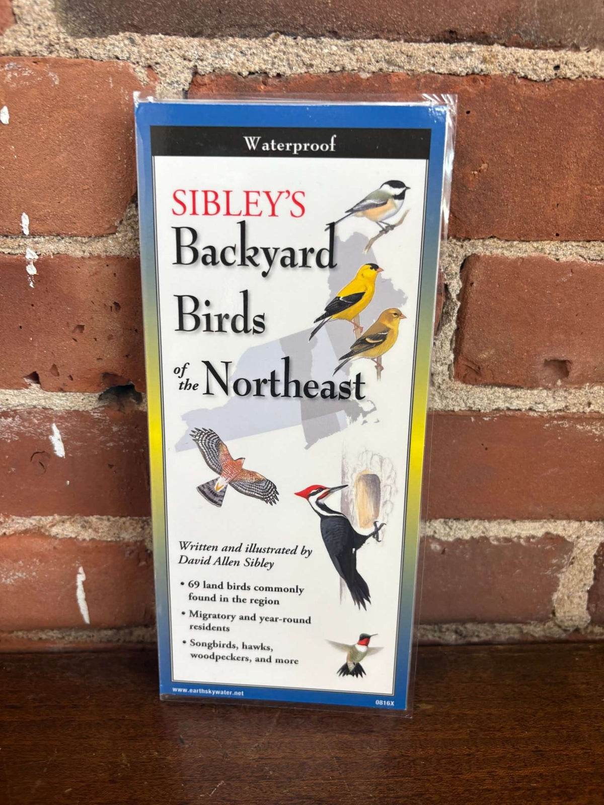 Sibley’s Backyard Birds of the Northeast – Field Guide (Compact Waterproof Edition) - Loom Vintage