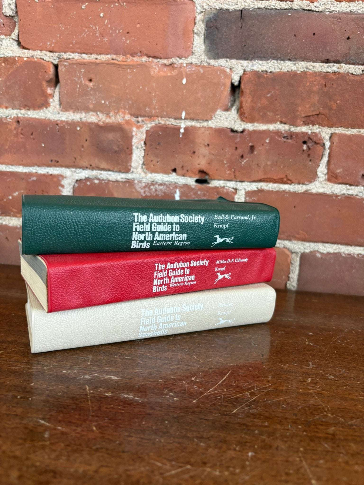 The Audubon Society Field Guide Collection – Eastern Birds, Western Birds & Seashells - Loom Vintage