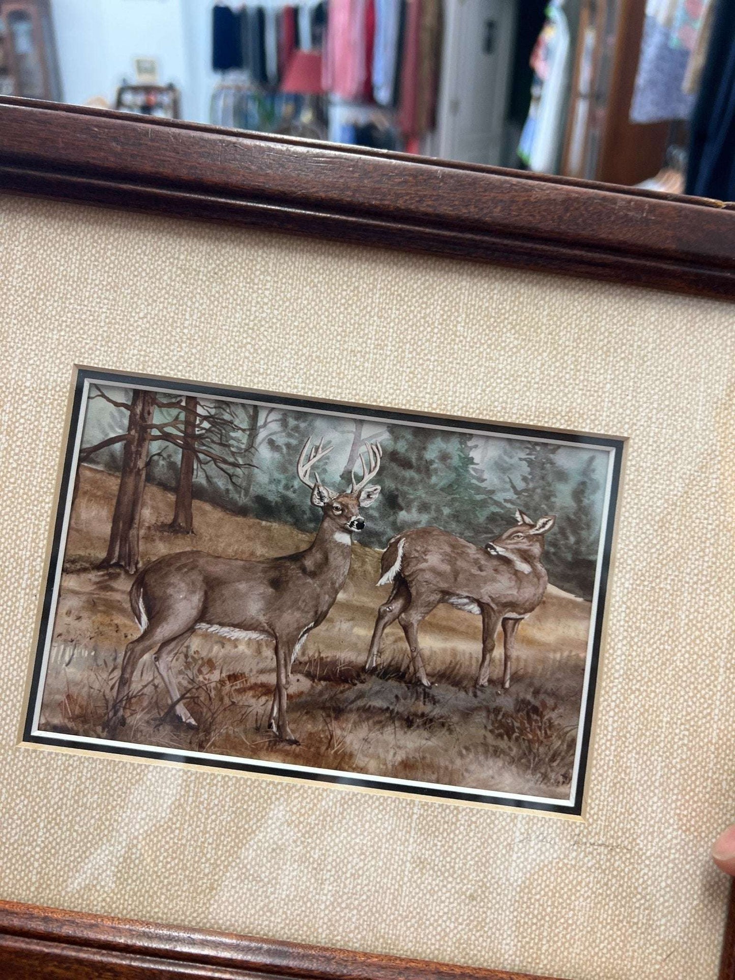 Vintage Framed Wildlife Deer Print – Rustic Cabin Wall Art 14" x 12" - Loom Vintage
