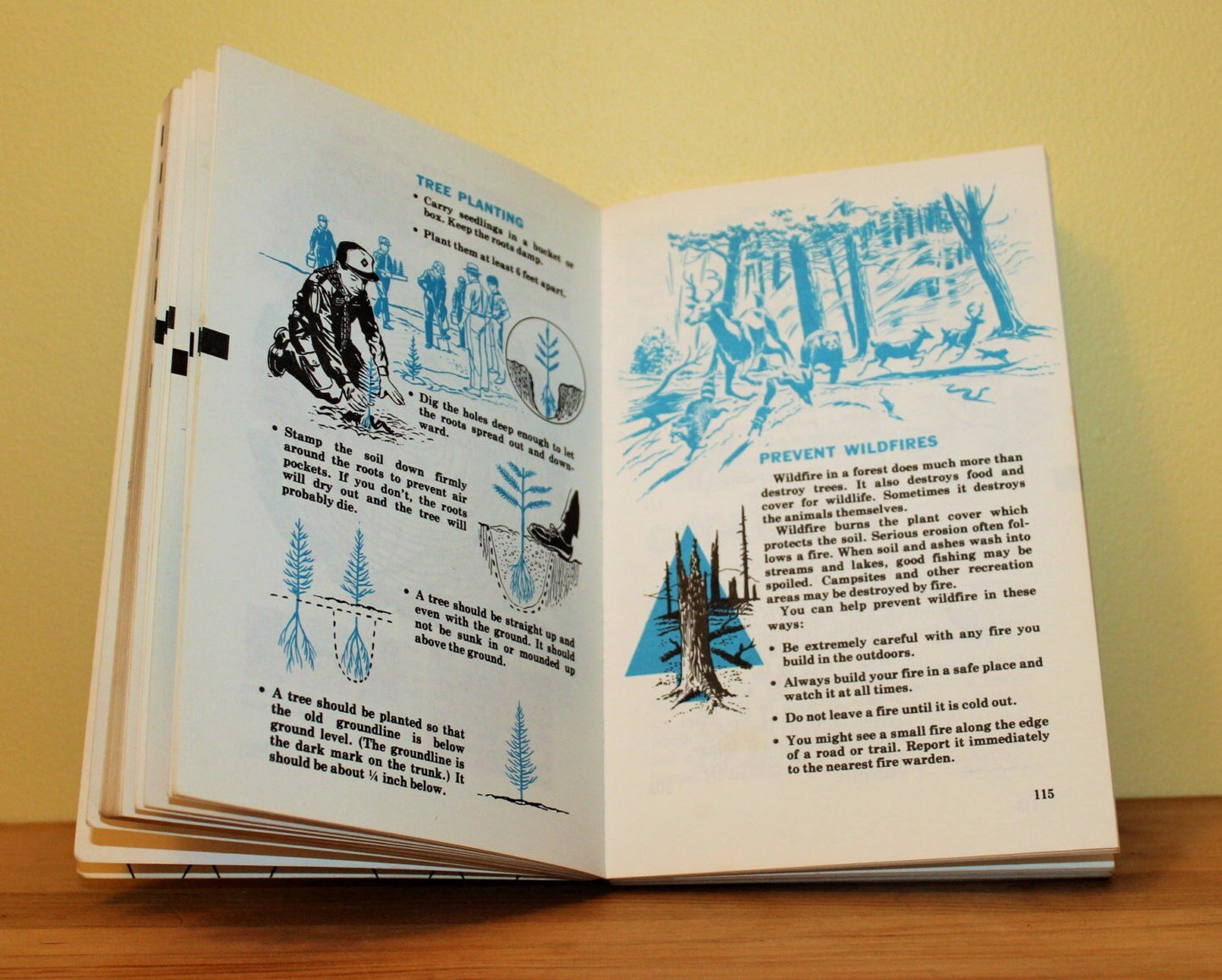 1982 Printing of 1967 Webelos Scout Book, Paperback, Scout's Honor, Memorablia - Loom Vintage