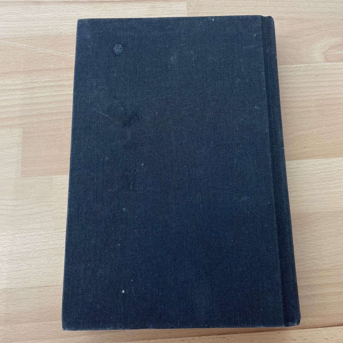 Paradise by Toni Morrison — back board