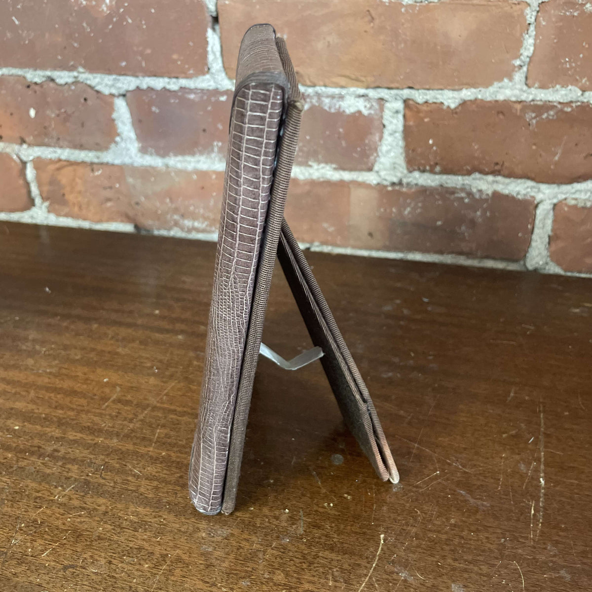 Snakeskin frame side view with easel back