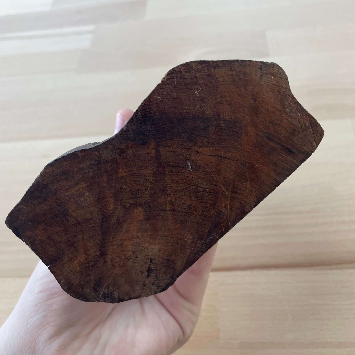 Carved wooden elephant — underside showing the natural wood grain