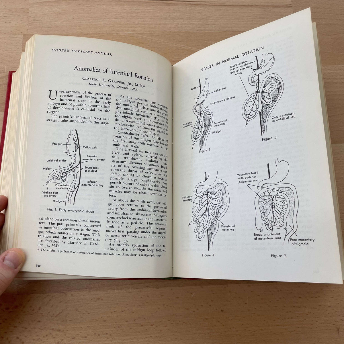 Modern Medicine Annual 1951 — interior anatomical illustrations