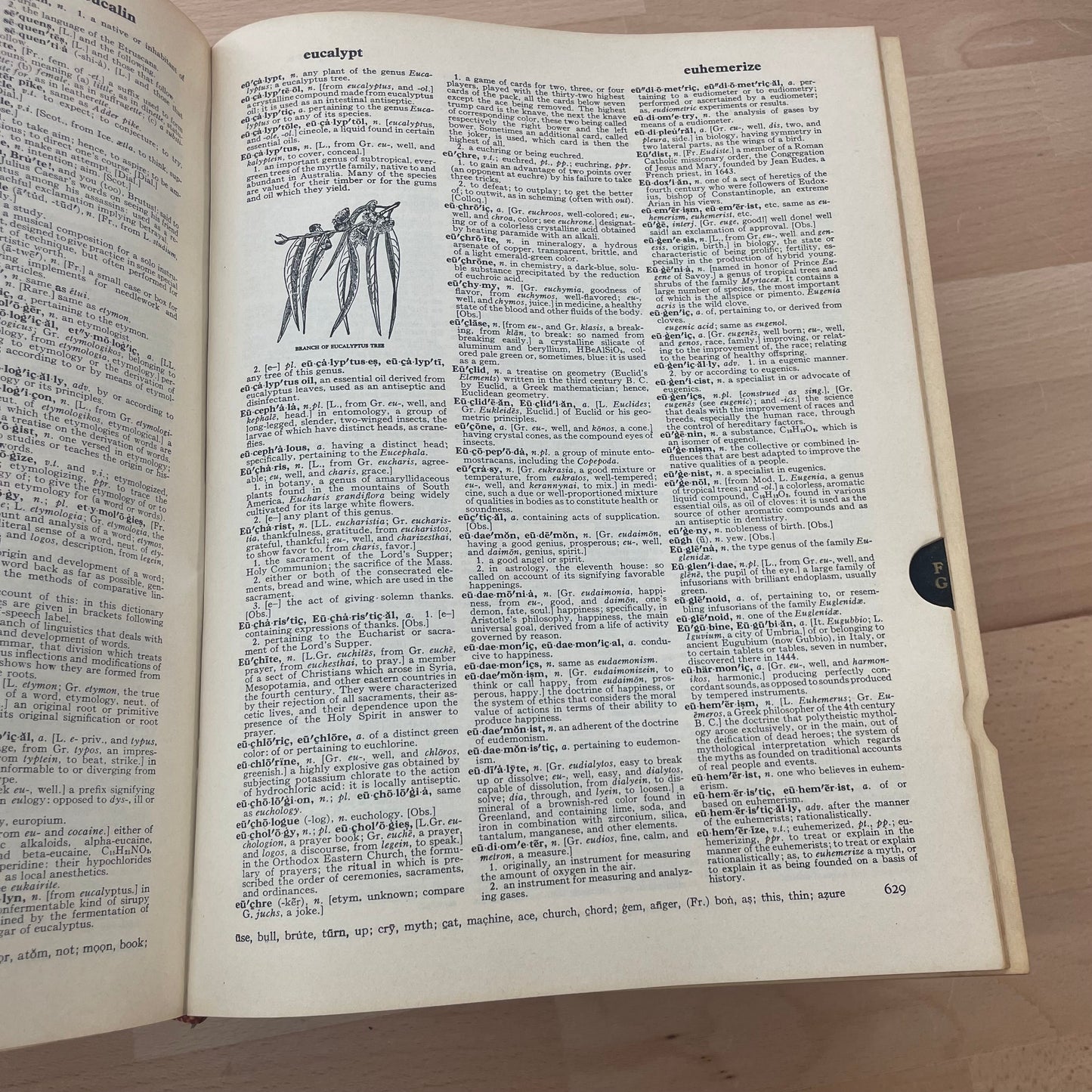 Webster’s New Twentieth Century Unabridged Dictionary, 2nd Edition | Large Vintage Reference Book for Decor or Display