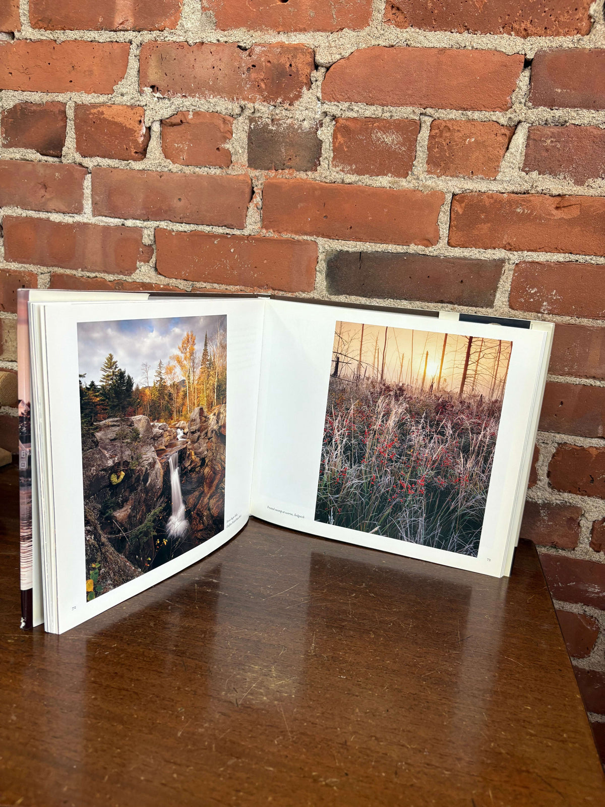 Maine: The Seasons — book open to an autumn woods photograph
