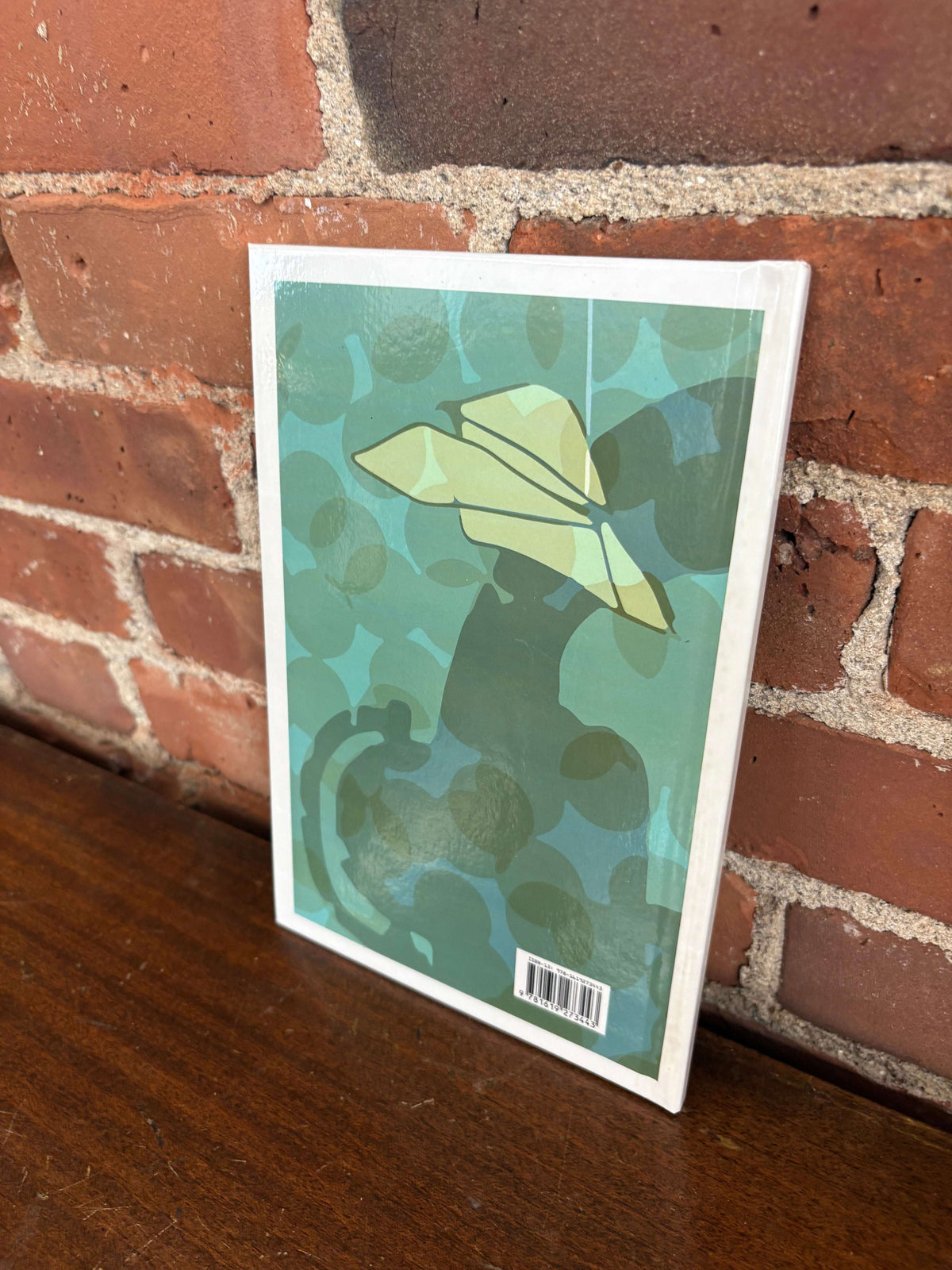 Did You Know? book open to a paper airplane illustration