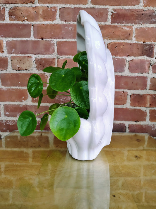 Vintage Italian Shell Wall Planter – White Ceramic Wall Pocket