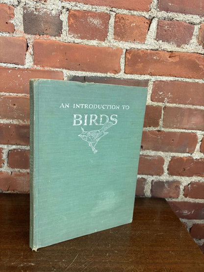 An Introduction to Birds – Vintage Clothbound Bird Book - Loom Vintage