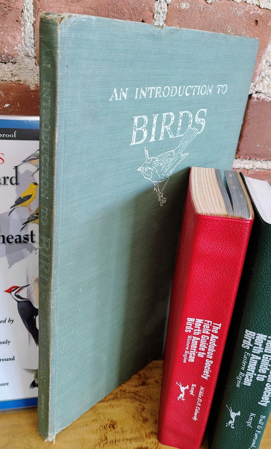 An Introduction to Birds – Vintage Clothbound Bird Book - Loom Vintage