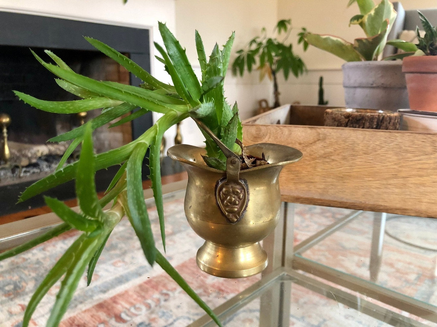 Antique Brass Mini Ash Pail, Planter, Pot, Bucket With Handle, Farmhouse Home Decor, Country French Decor, Copper Kitchen Campfire Pot - Loom Vintage
