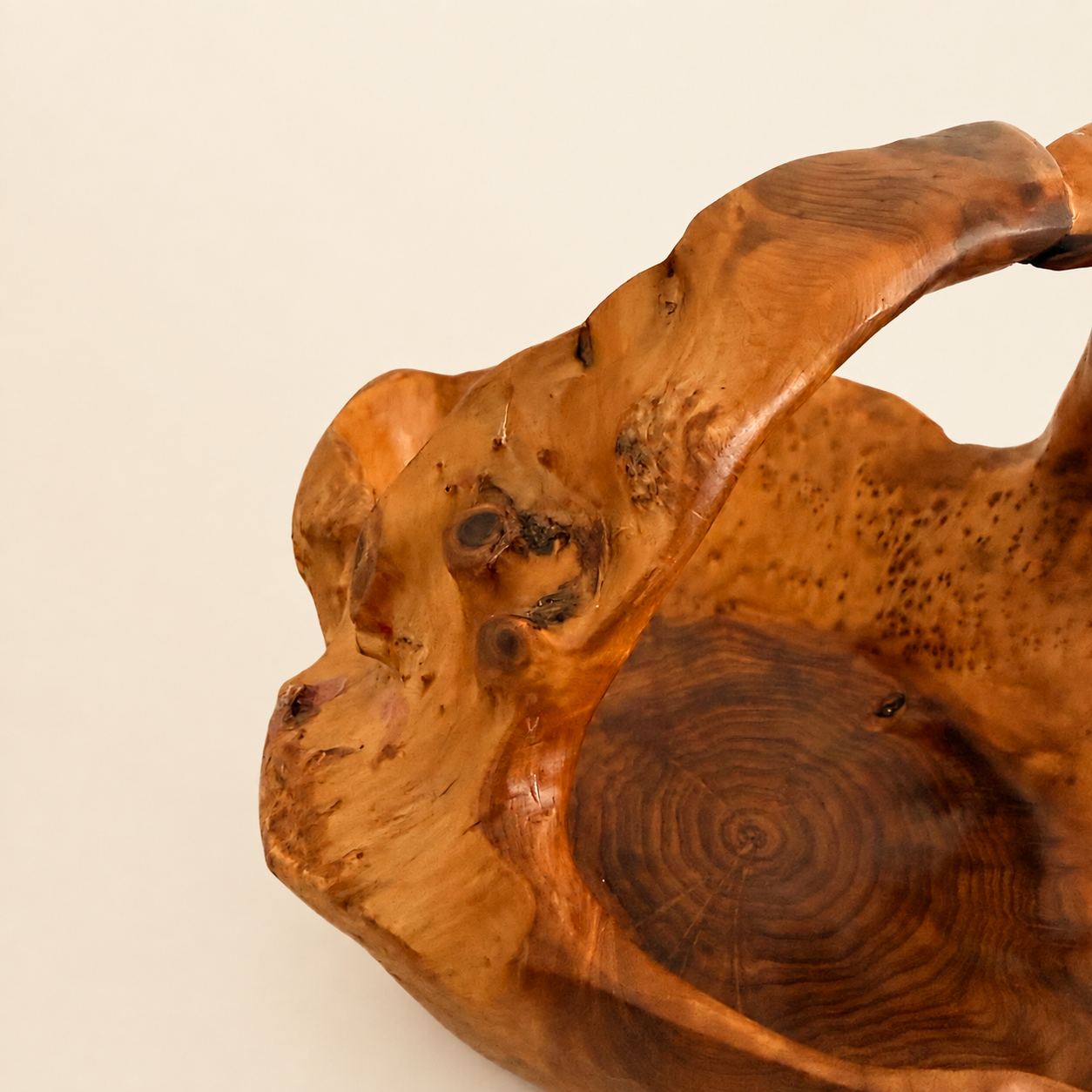 Detail of the live-edge rim and burl texture