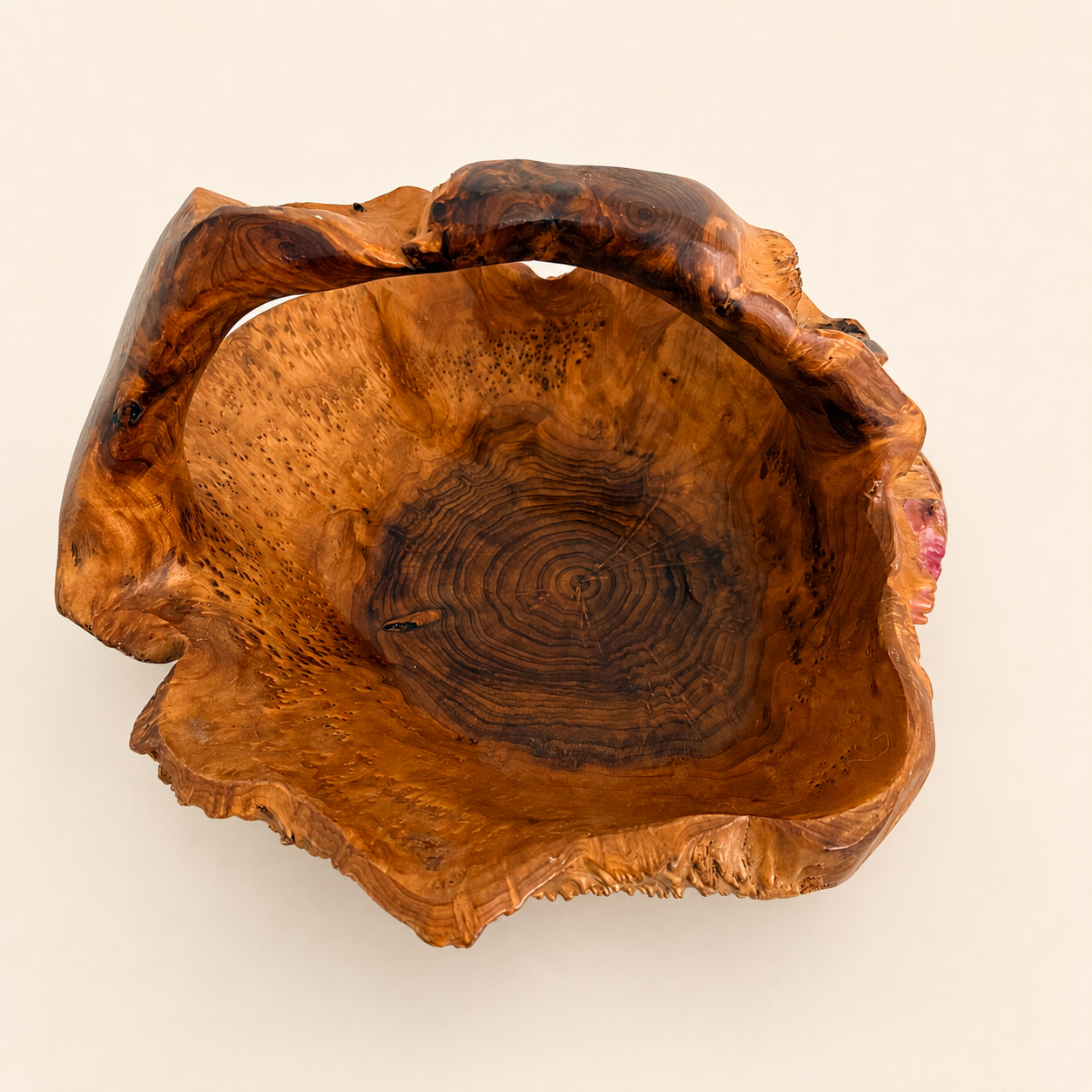 Top-down view into rootwood basket showing concentric growth rings