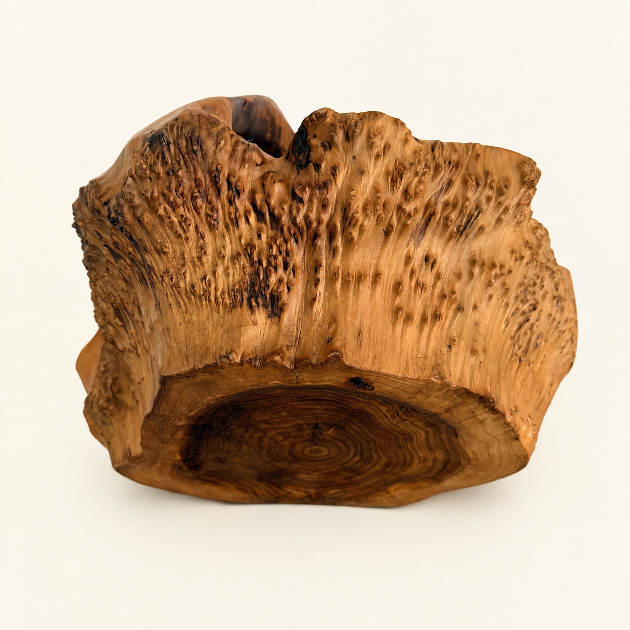 Exterior of rootwood basket showing knobbly burl surface