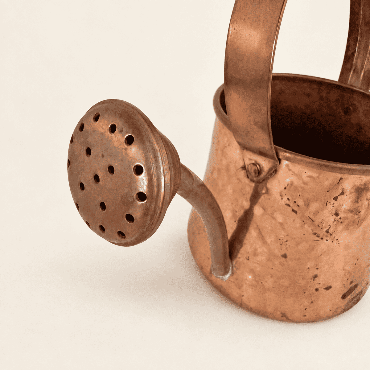 Long copper spout ending in a perforated rose head