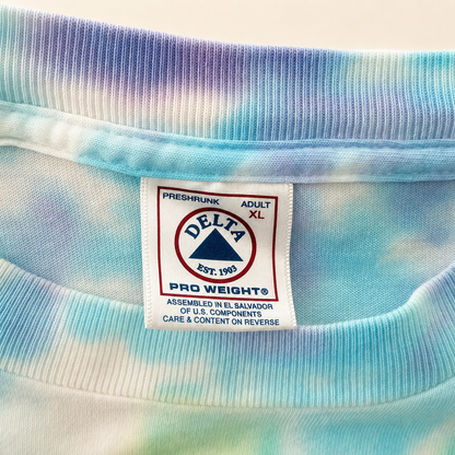 Delta Pro Weight Adult XL neck tag, vintage 2001 Dave Matthews Band tie-dye tour t-shirt
