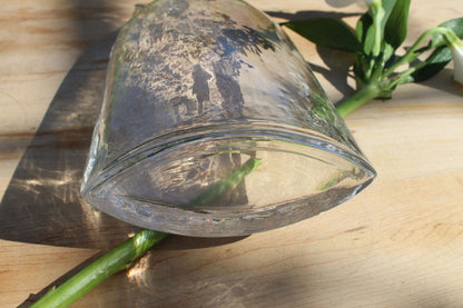 Decorative Vintage Clear Glass Bottle / SimpleVase - Loom Vintage
