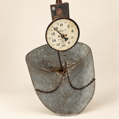 The scale hanging with the dial at top and the galvanized scoop below on its chains