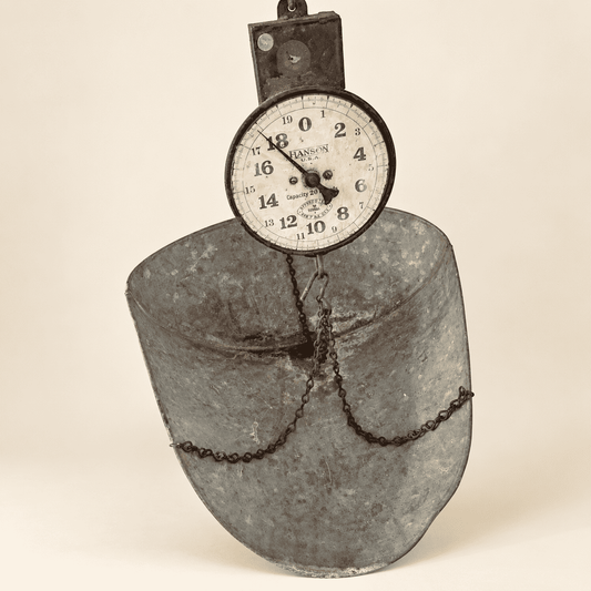 The scale hanging with the dial at top and the galvanized scoop below on its chains