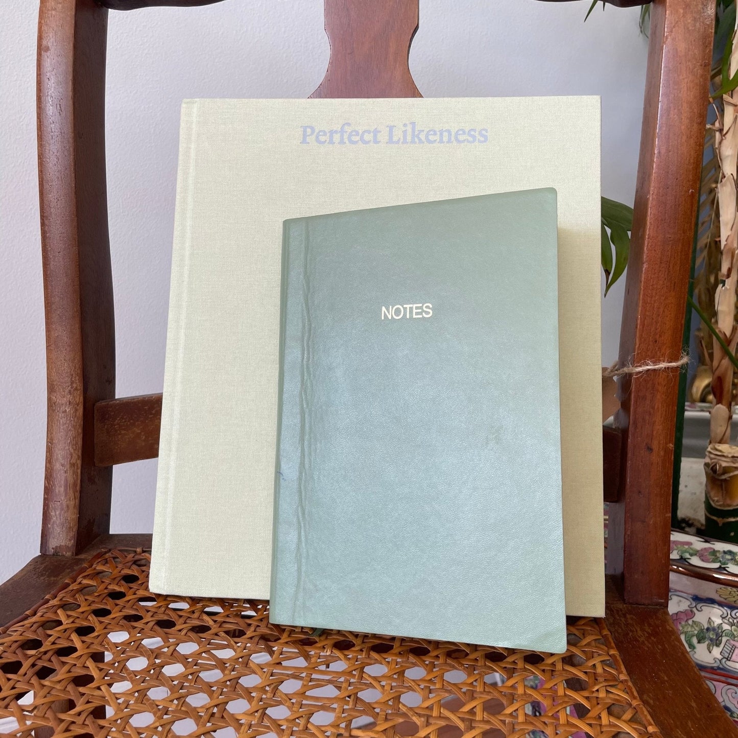 Perfect Likeness: Photography and Composition by Ferguson – Minimalist Cream Hardcover - Loom Vintage