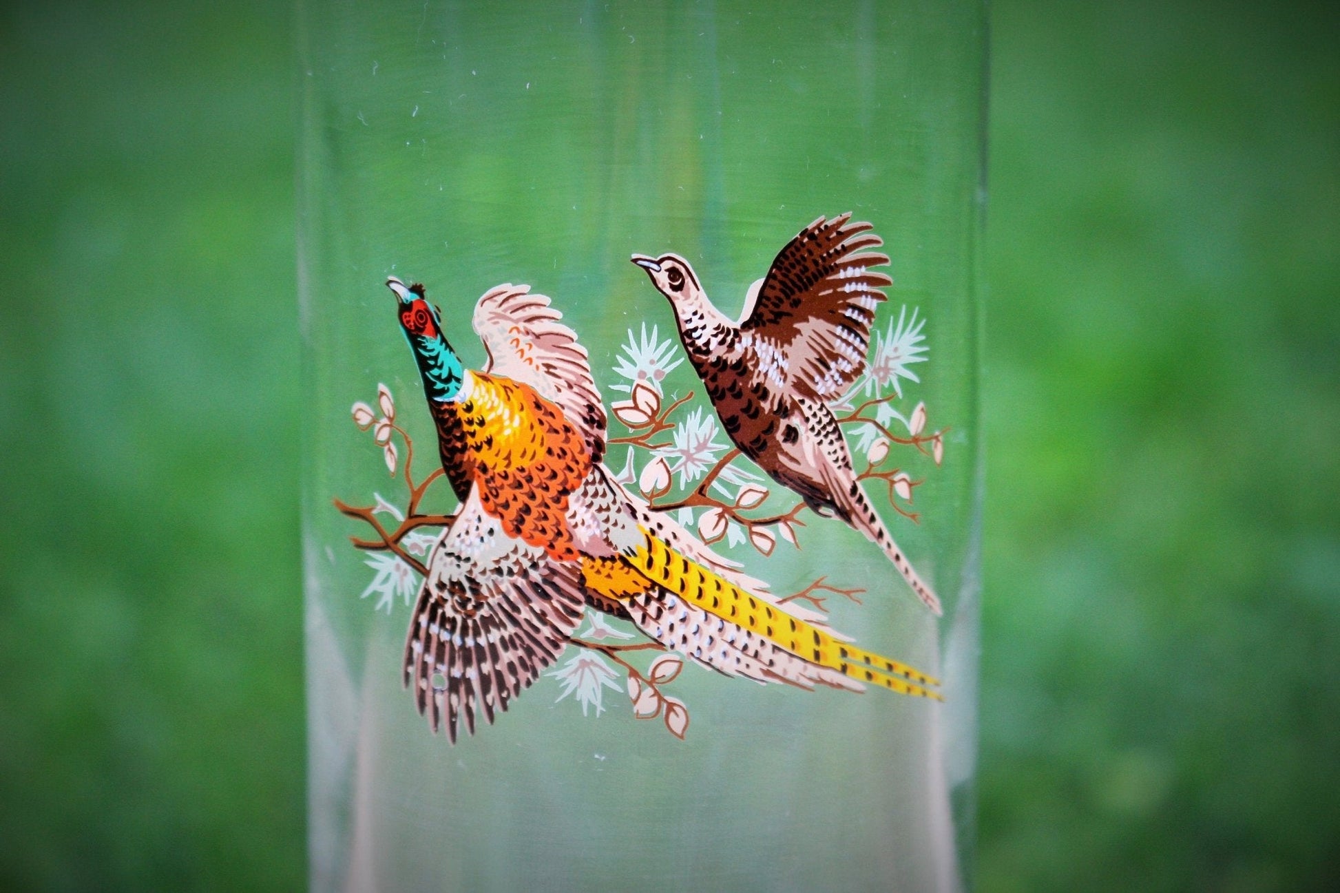 Pheasant Decanter / Martini Cocktail Pitcher / Rooster Hen / Tall Mid Century Glass / Retro Pitcher Gold Band / Vintage Bar Ware / Cocktail - Loom Vintage