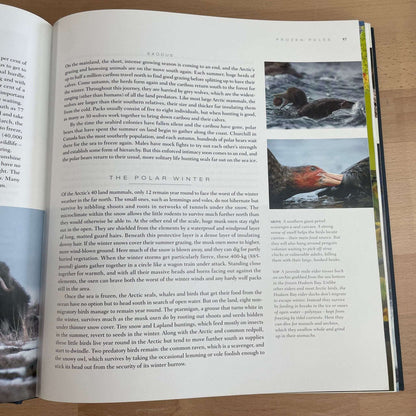 Planet Earth by Alastair Fothergill – Nature Photography Canvas Book - Loom Vintage