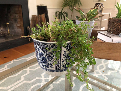 Plants Flowerpot Delft Royal Sphinx - Holland - Boch Belgium - Delft Blue and White - Per 2 set - Jardinier flower box or Garden Cache Pot - Loom Vintage