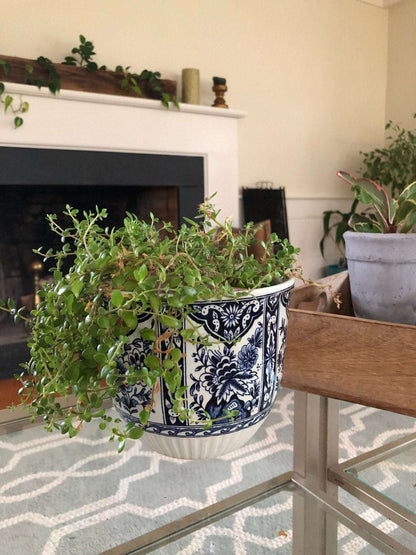 Plants Flowerpot Delft Royal Sphinx - Holland - Boch Belgium - Delft Blue and White - Per 2 set - Jardinier flower box or Garden Cache Pot - Loom Vintage