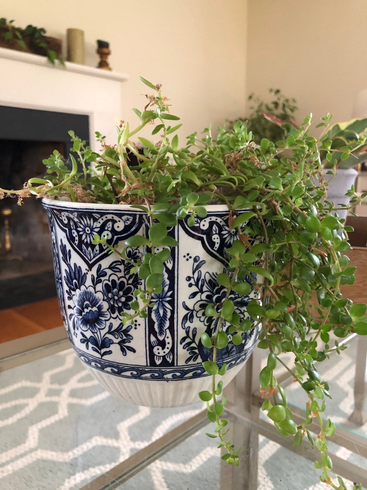 Plants Flowerpot Delft Royal Sphinx - Holland - Boch Belgium - Delft Blue and White - Per 2 set - Jardinier flower box or Garden Cache Pot - Loom Vintage