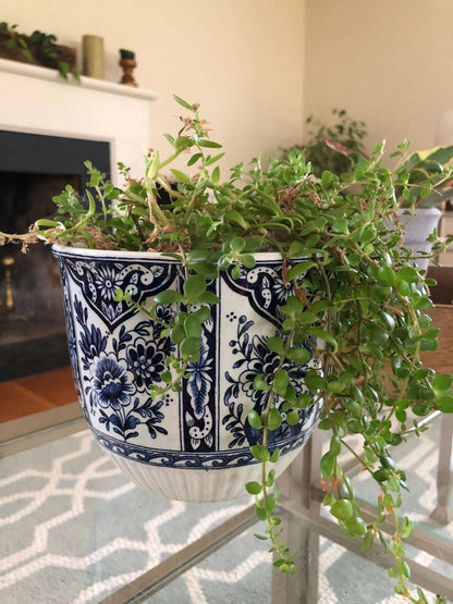 Plants Flowerpot Delft Royal Sphinx - Holland - Boch Belgium - Delft Blue and White - Per 2 set - Jardinier flower box or Garden Cache Pot - Loom Vintage