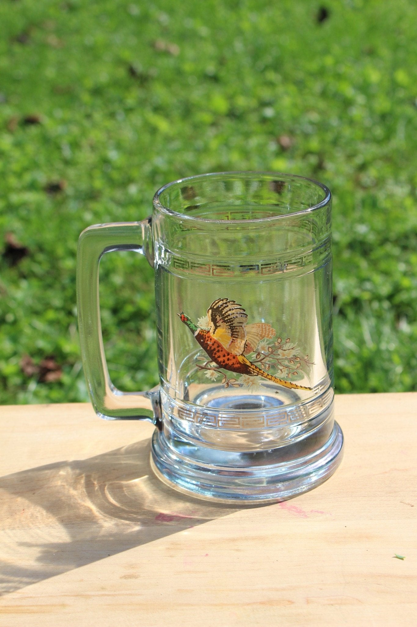 Princess House Glass Pheasant Geese Beer Steins / Retro Glass with Silver Band / Vintage Bar Ware / Beer Cup NIB Hunter Gift - Loom Vintage