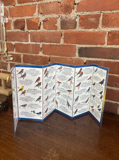 Sibley’s Backyard Birds of the Northeast – Field Guide (Compact Waterproof Edition) - Loom Vintage