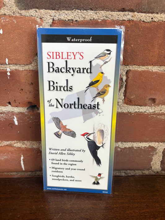 Sibley’s Backyard Birds of the Northeast – Field Guide (Compact Waterproof Edition) - Loom Vintage