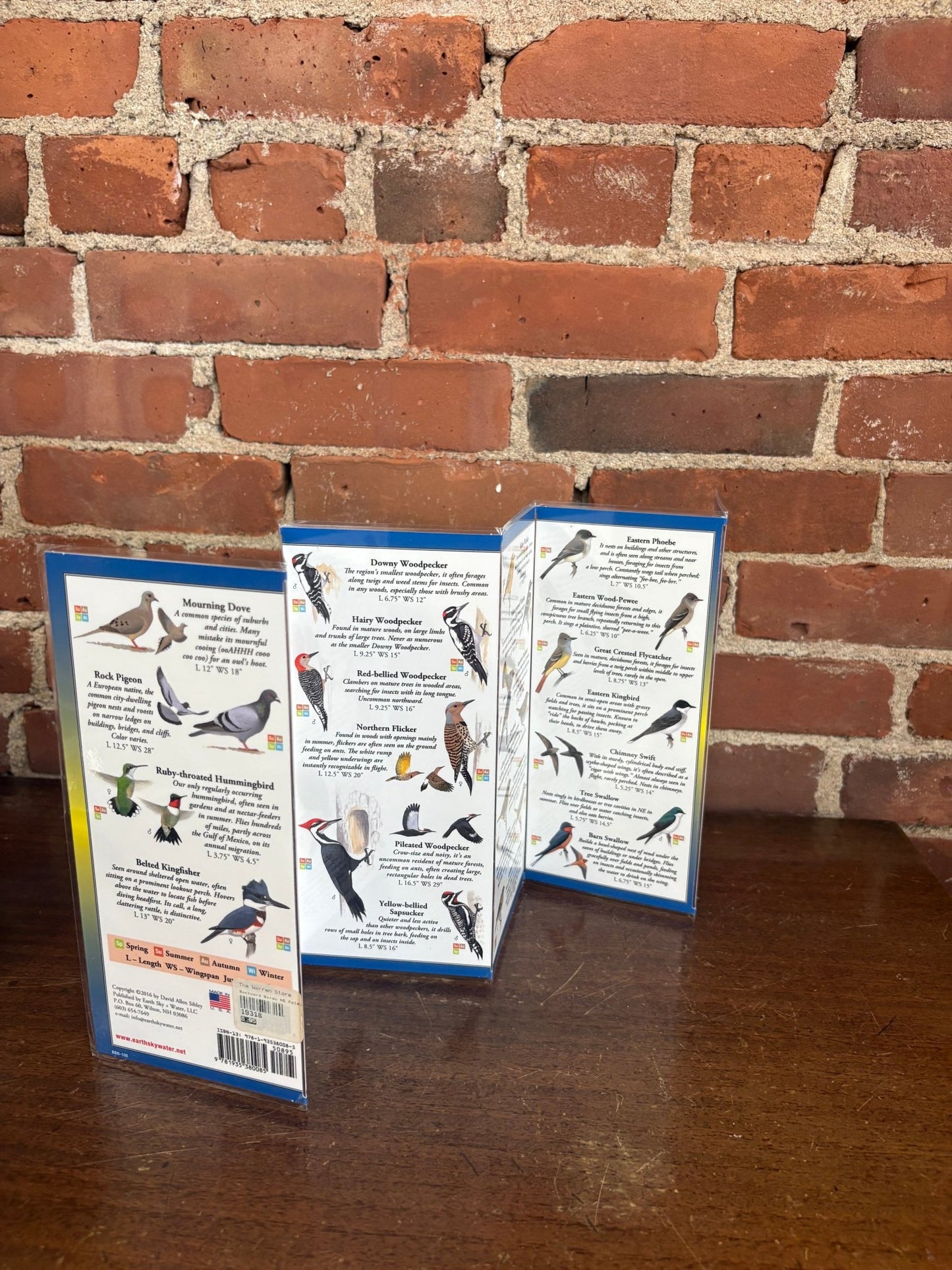 Sibley’s Backyard Birds of the Northeast – Field Guide (Compact Waterproof Edition) - Loom Vintage