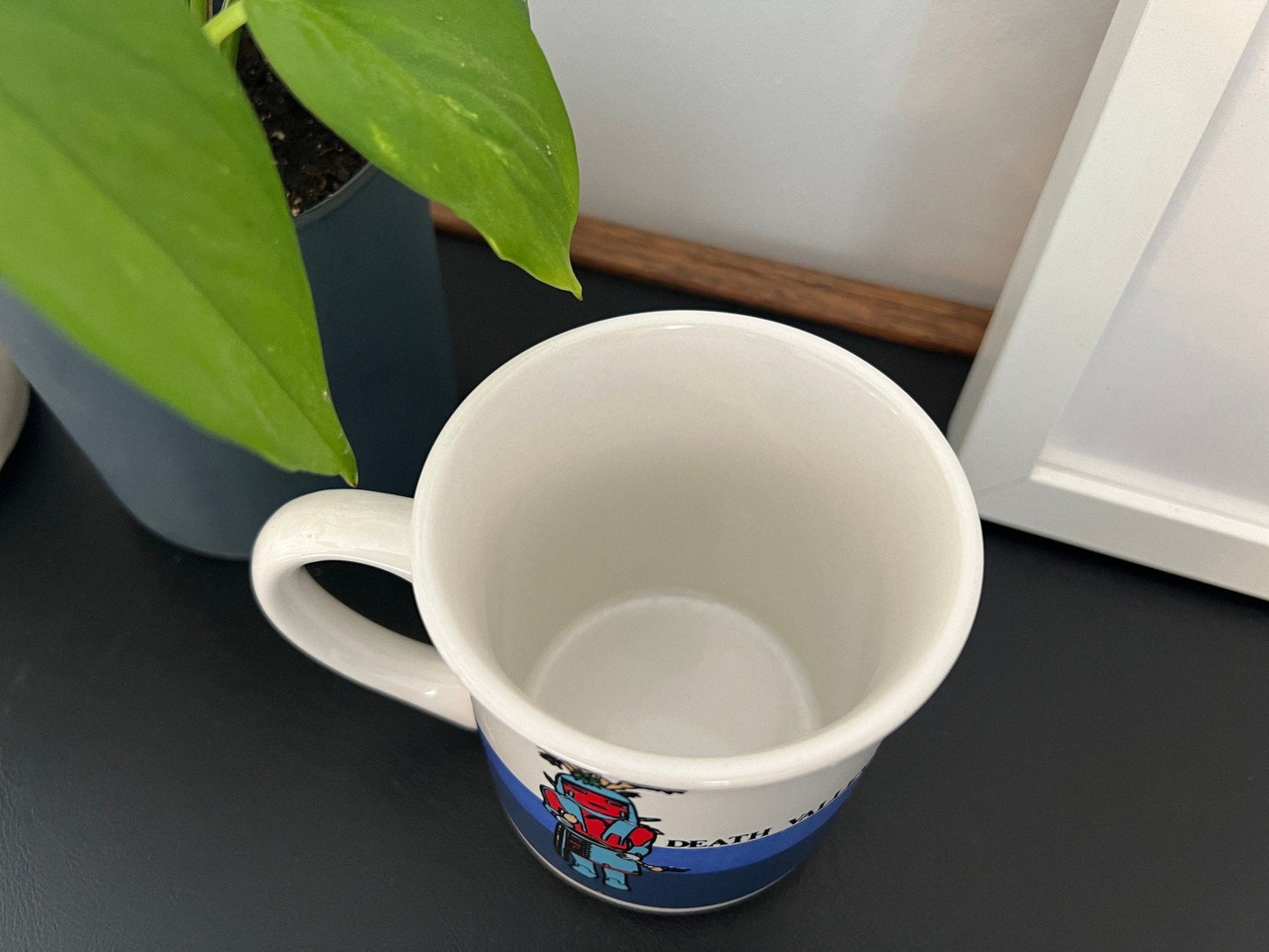 Vintage Death Valley California Mug Coffee/Tea Mug in Exceptional Condition - Loom Vintage