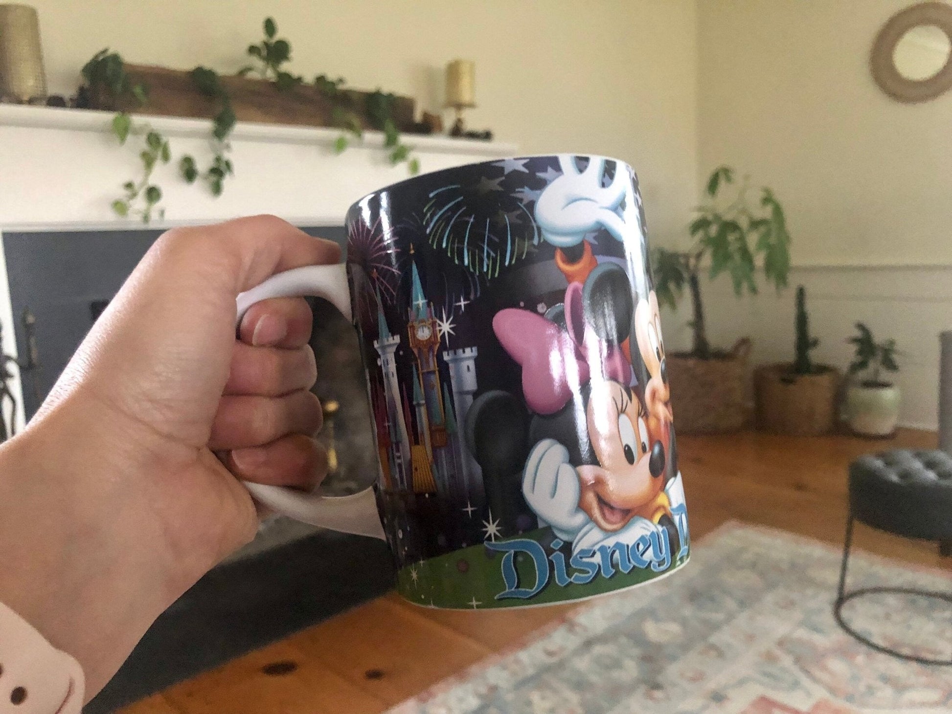 Vintage Disney Dreams Florida, Large Ceramic Mug, Walt Disney World Cup, Disney Gang Collectible Drinkware - Loom Vintage