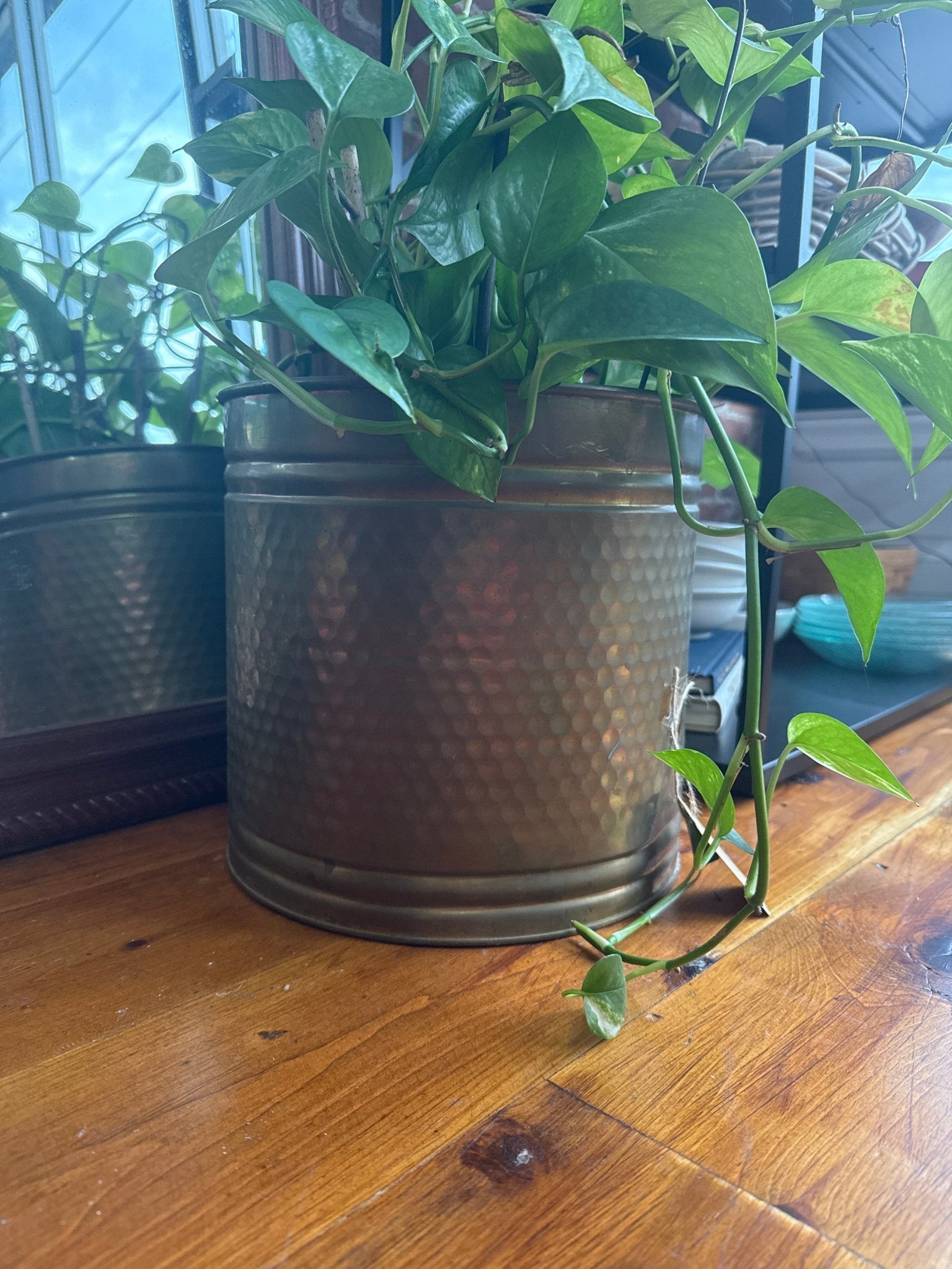 Vintage Hammered Brass Planter – Crown Jewel Round Cachepot, 10.5″ × 10″ - Loom Vintage