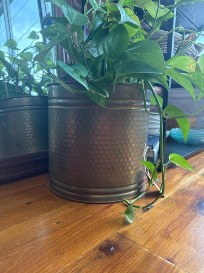 Vintage Hammered Brass Planter – Crown Jewel Round Cachepot, 10.5″ × 10″ - Loom Vintage